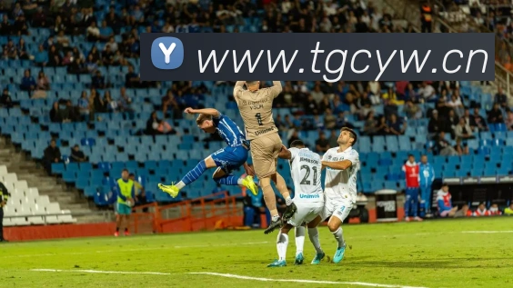 大阳城集团资料大全发展历程