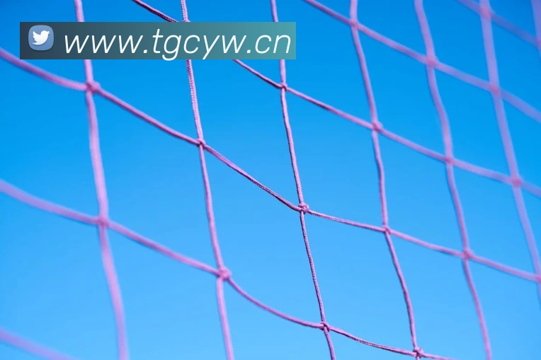 回顾NBA全明星赛：官方录像与球员高光时刻全解析